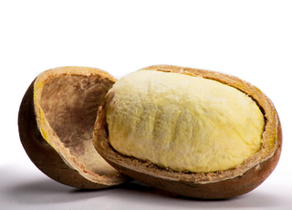 Cupuaçu Collection