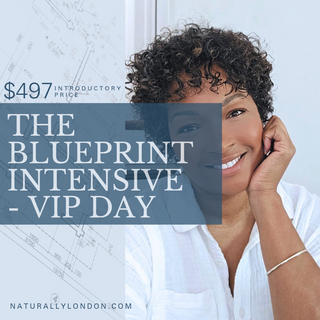 The Blueprint Intensive — VIP Day