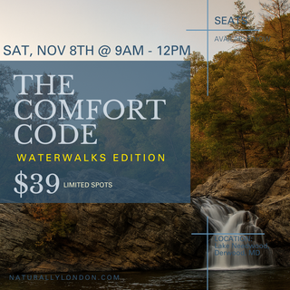 The Comfort Code